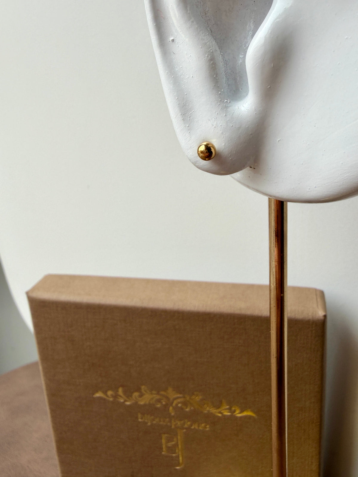 Dena - boucles d'oreilles chic