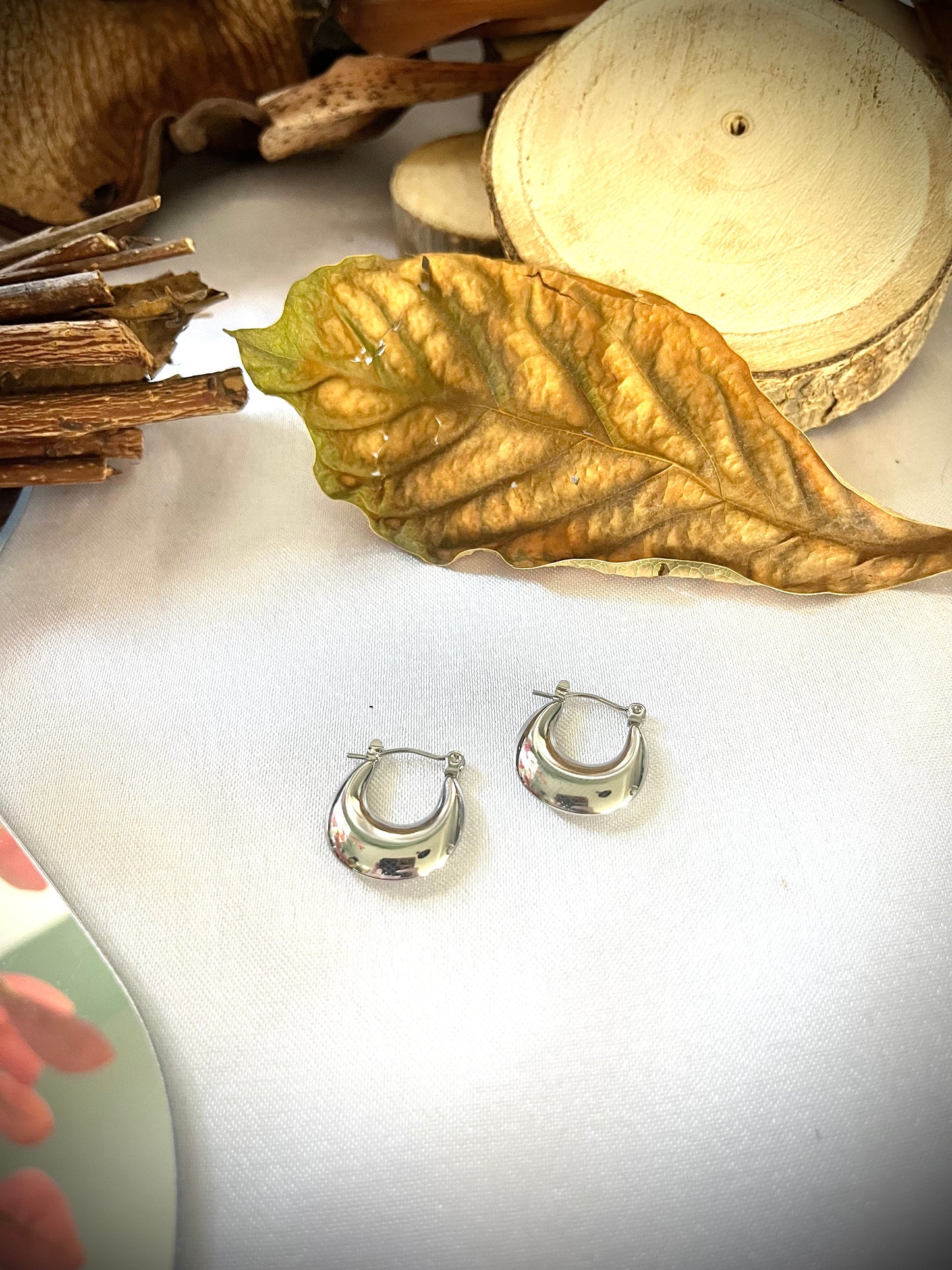 VALORE l Boucles d'oreilles argentées